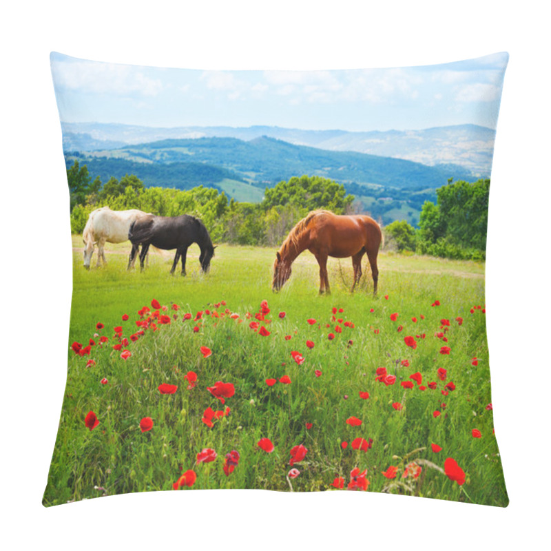 Personality  There Horses Grazing Grass Pillow Covers