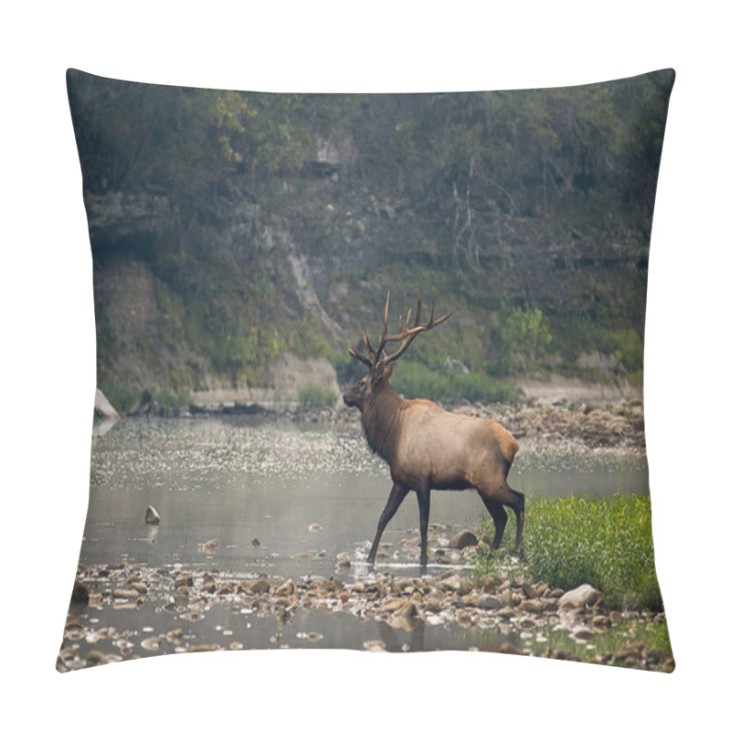 Personality  Trophy-class Bull Elk Pillow Covers