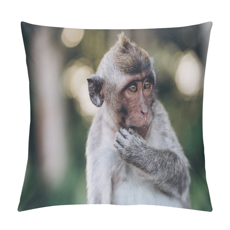 Personality  Close Up Shot Of Adorable Monkey With Nature Background. Cute Macaque In Sacred Monkey Forest Pillow Covers