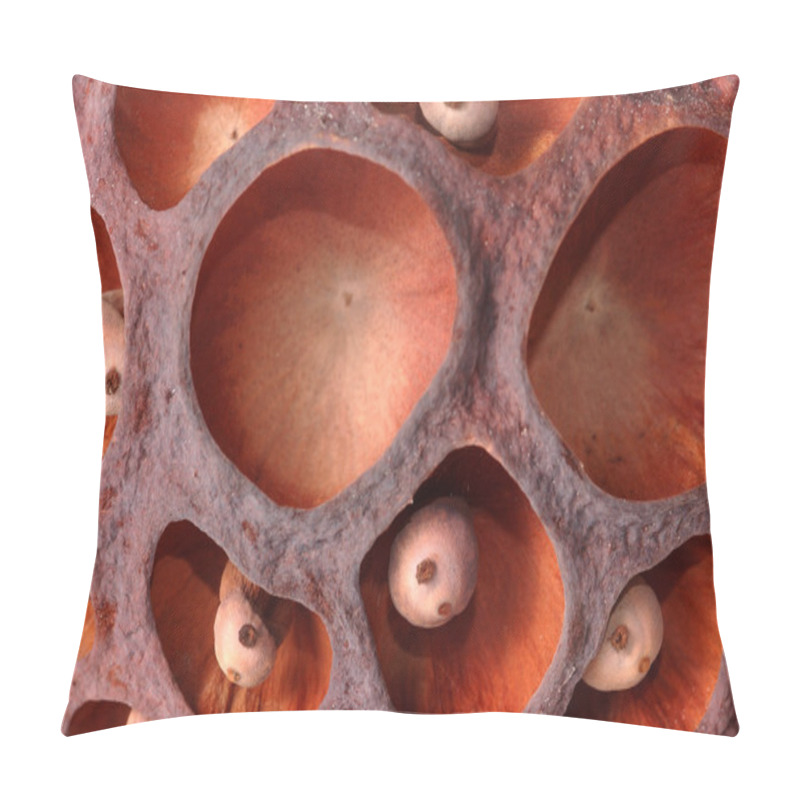 Personality  Close-up Of Lotus Dry Seed Pillow Covers