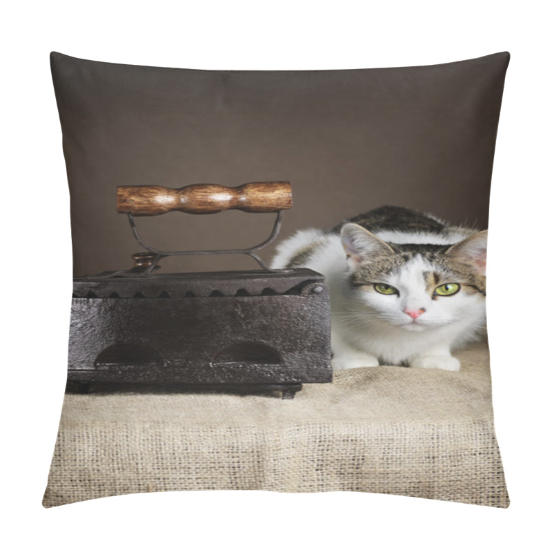 Personality  Cat And Iron Pillow Covers