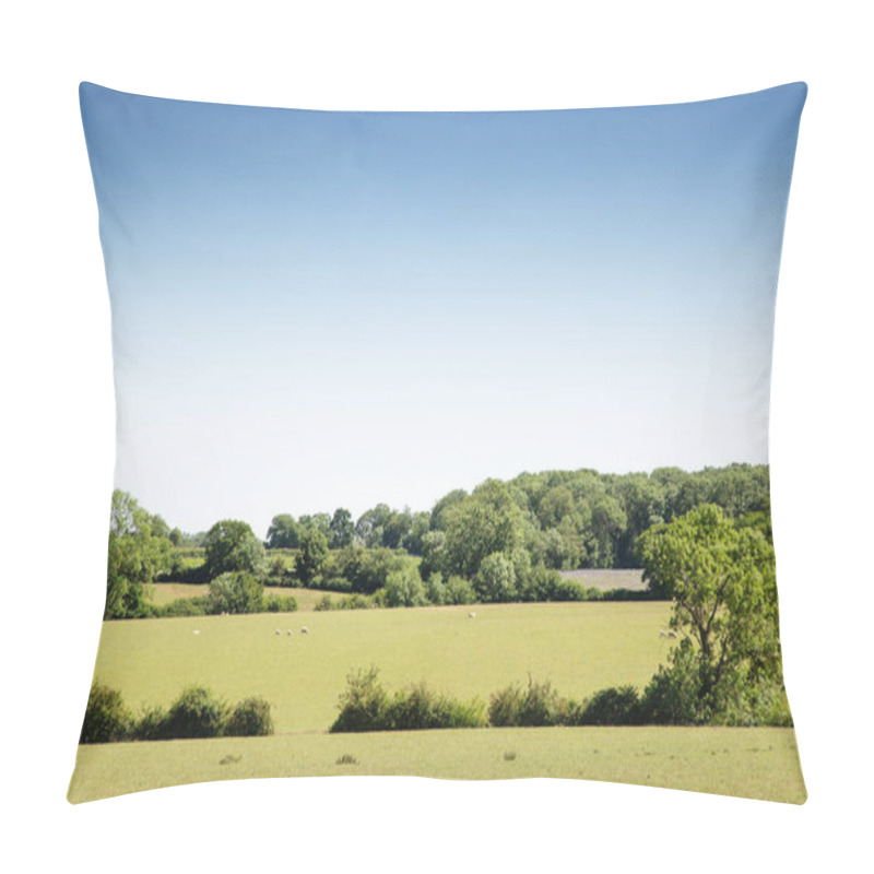 Personality  Sheep In A Field Going About Their Day Business Pillow Covers