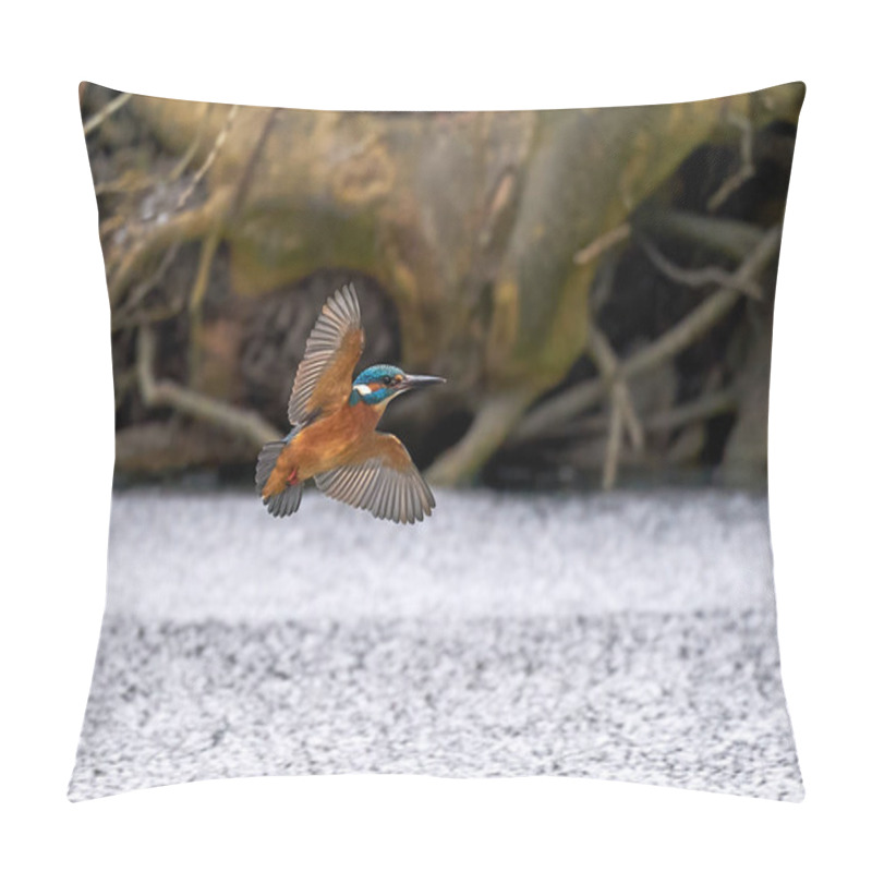 Personality  Common Kingfisher In Its Natural Enviroment In Denmark Pillow Covers