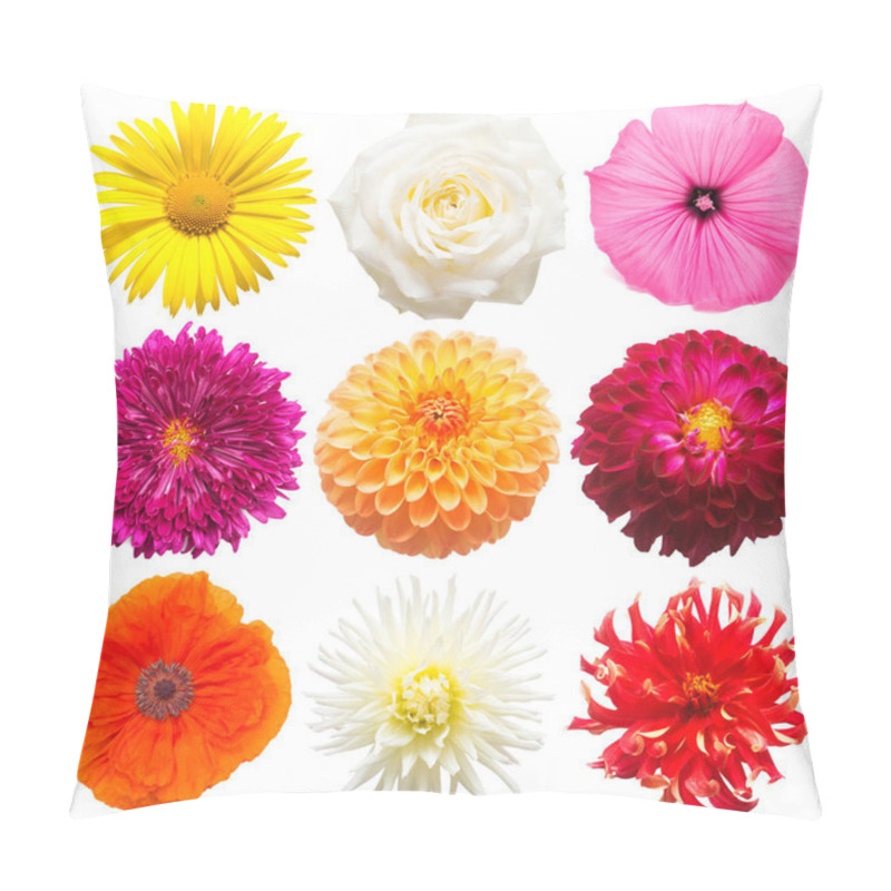 Personality  Set Flowers Chamomile, Roses, Mallow, Poppy, Chrysanthemum Isolated On White Background. Spring Time, Flora. Flat Lay, Top View. Love. Valentine's Day Pillow Covers