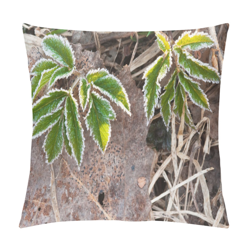 Personality  First Spring Plants Pillow Covers