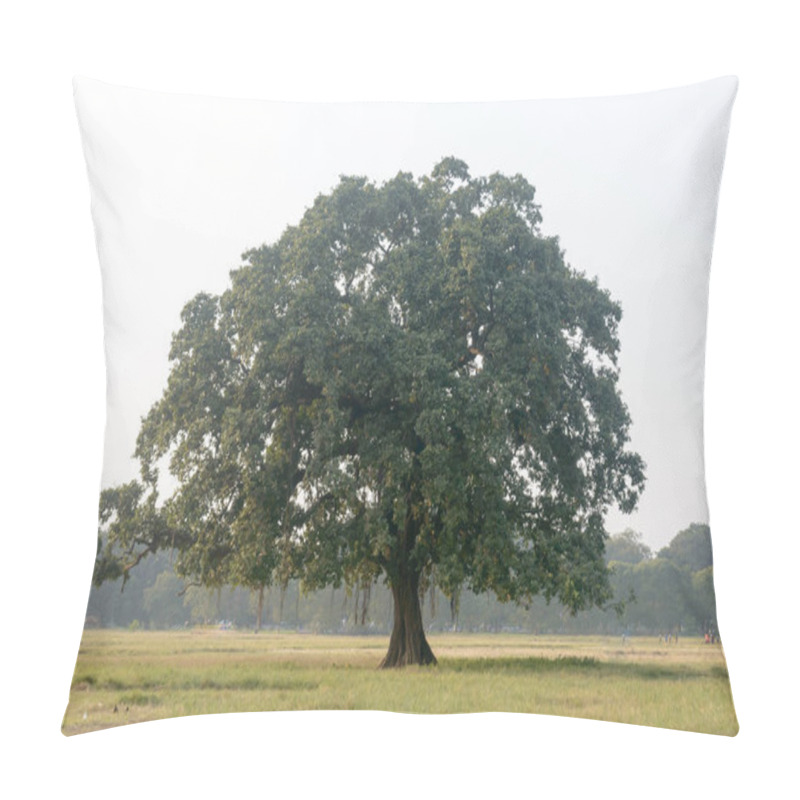 Personality  A Large Single Banyan Tree On A Green Meadow Landscape. Rural Scene Vertical Horizon Over Plain Land. Environmental Conservation Background. Beauty In Nature. Sunlight Sunset Spring Time. Pillow Covers