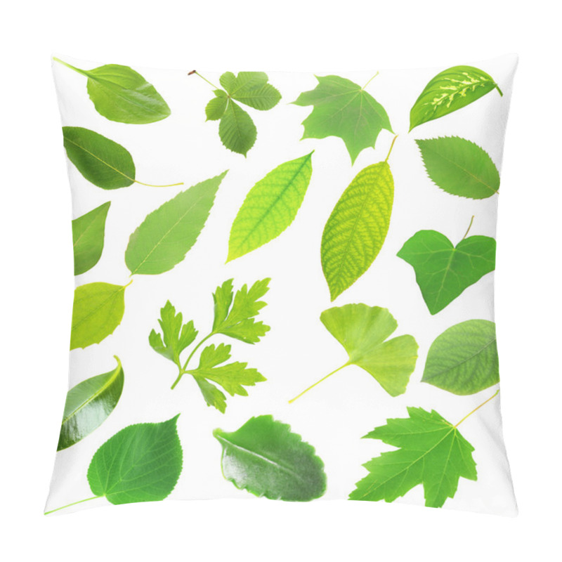 Personality  Collage Of Different Leaves Isolated On White Pillow Covers