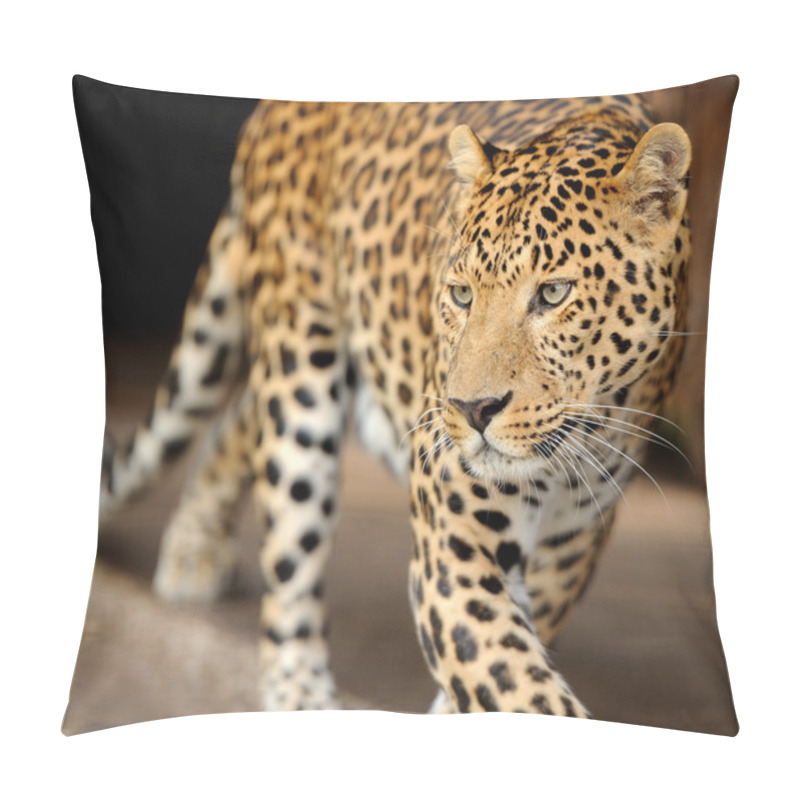 Personality  Leopard Pillow Covers