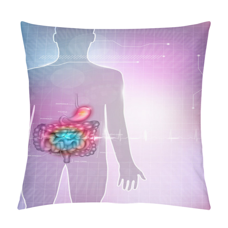 Personality  Gastrointestinal Tract Anatomy Pillow Covers