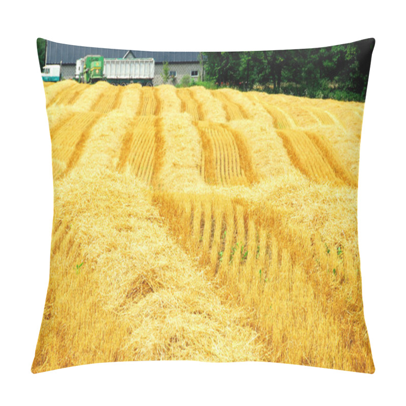 Personality  Harvest Farm Field Pillow Covers