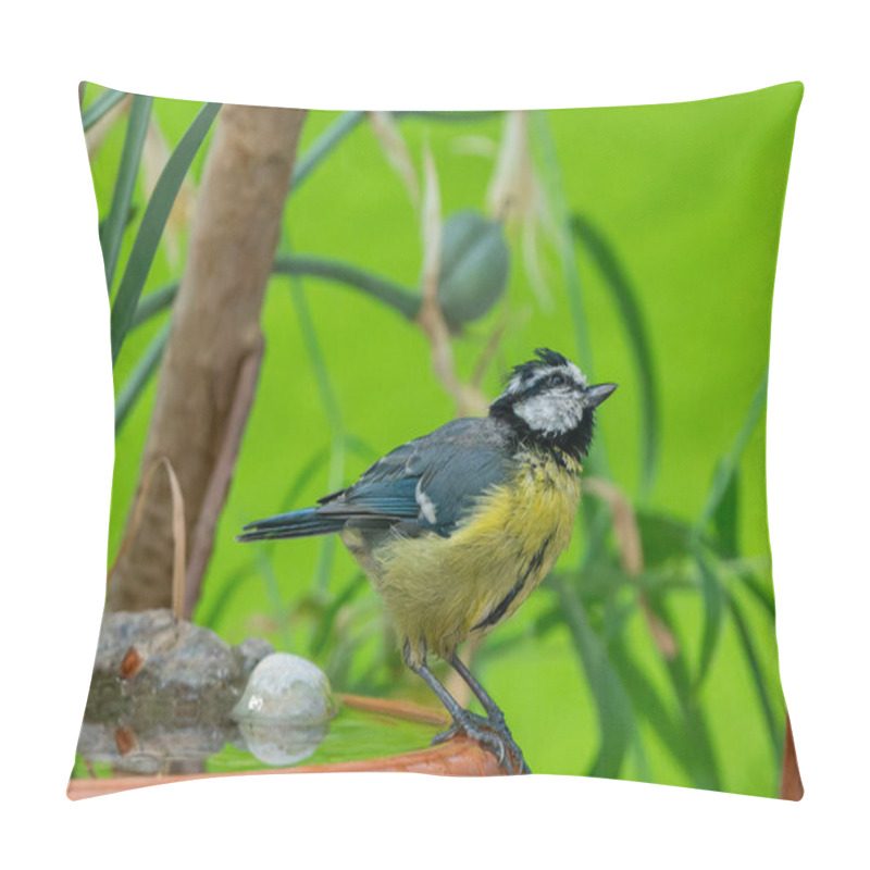 Personality  Closeup View Of Small Bird  Pillow Covers