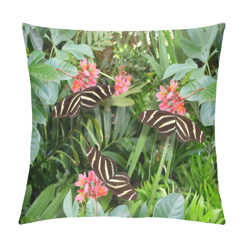 Personality  Butterflies Zebra Longwing Pillow Covers