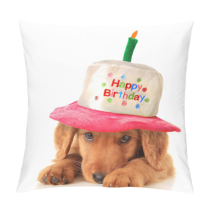 Personality  Happy Birthday Puppy Pillow Covers