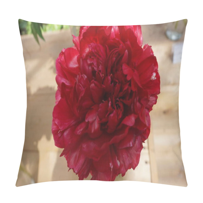 Personality  Close Up Shot Of Red Peony Flower Pillow Covers