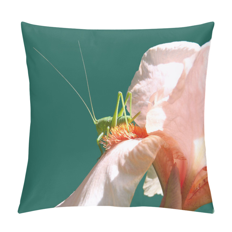 Personality  Green Grasshopper On A Peach Iris, Macro. Pillow Covers