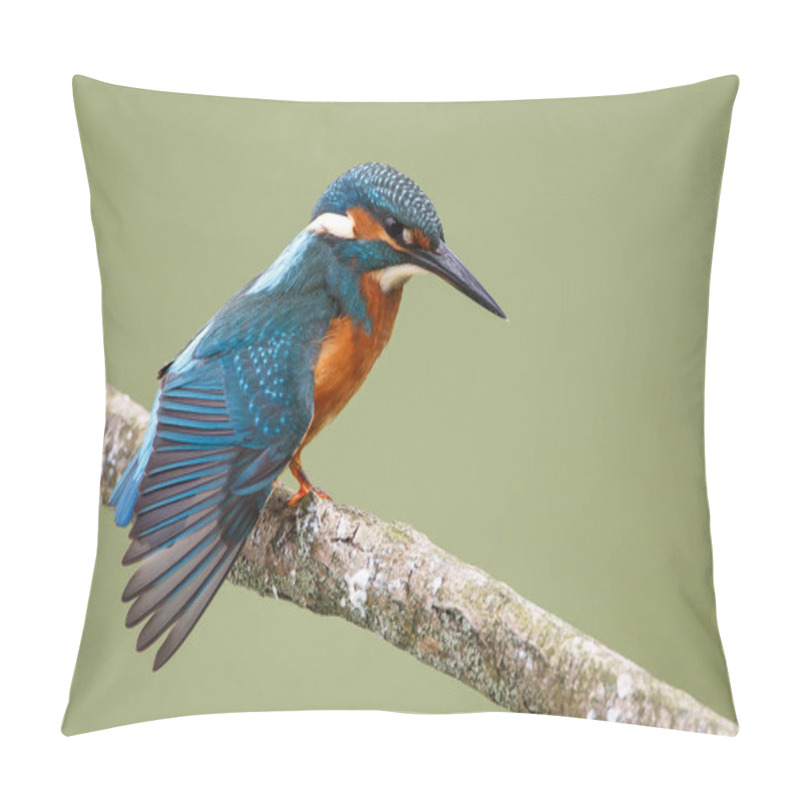 Personality  Kingfisher Bird On A Branch Pillow Covers