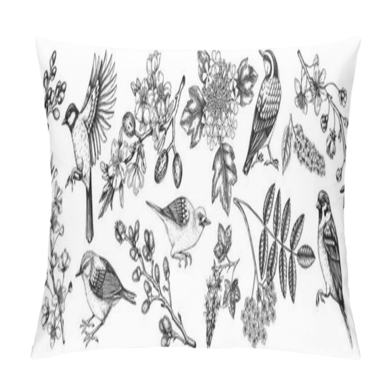 Personality  Flowering Branches And Birds Drawings Collection. Hand-drawn Cherry, Almond, Willow, Currant Flower Sketches Set. Botanical Vector Illustrations Of Spring Blooming Trees Isolated On White Background Pillow Covers