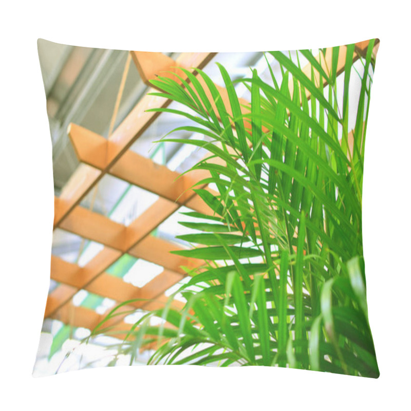 Personality  Decorative Areca Palm Tree In Office Interior  Pillow Covers