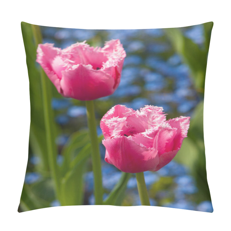 Personality  Pink Tulips Pillow Covers