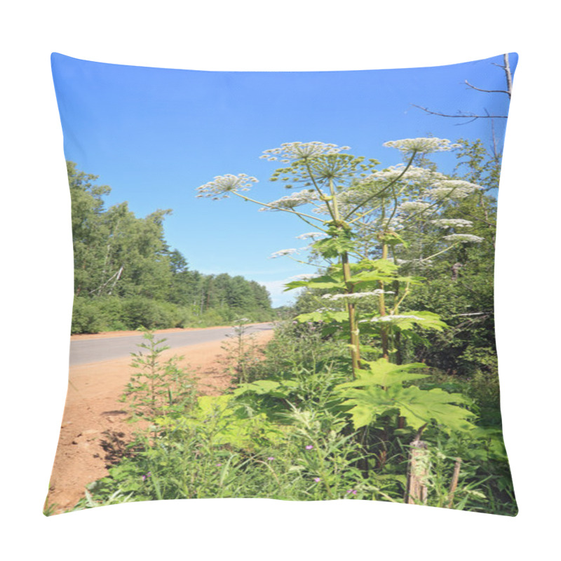 Personality  High Hogweed Near Rural Road Pillow Covers