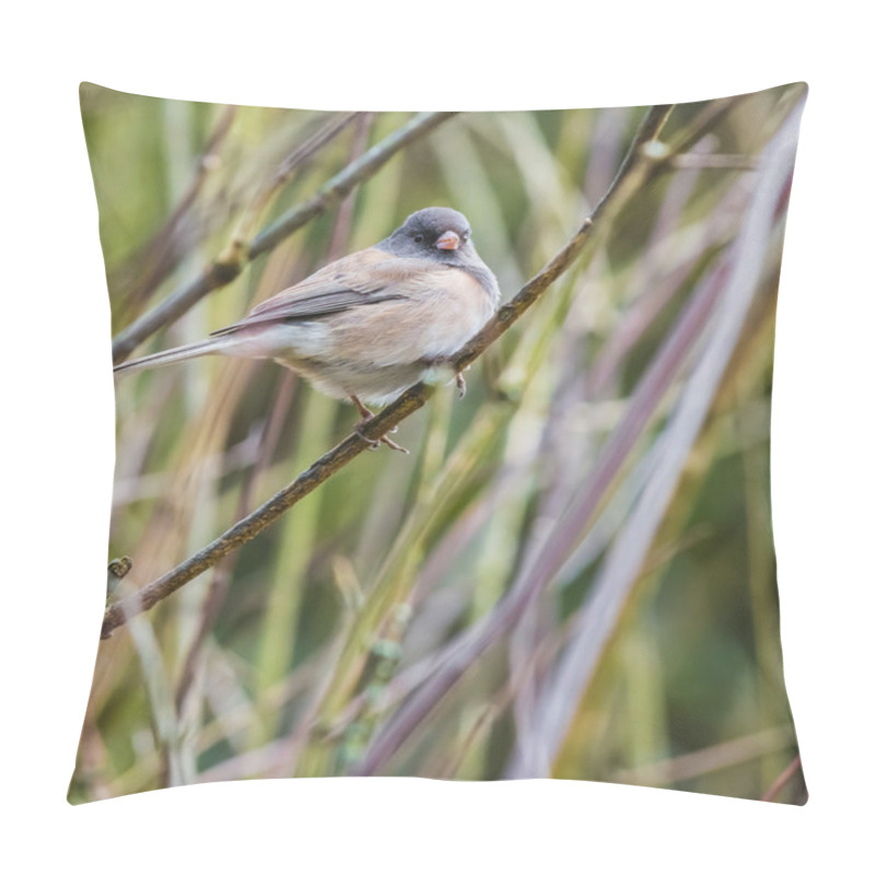 Personality  Dark Eyed Junco Bird Pillow Covers