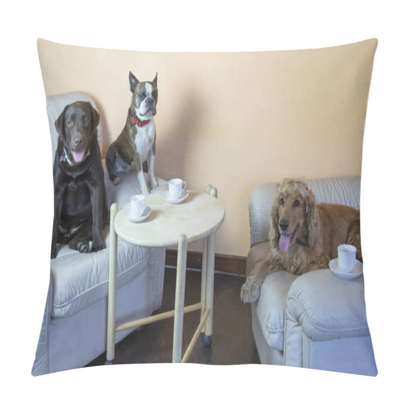 Personality  Boston Terrier,  Labrador And Cocker Spaniel In The Hall On Armchairs Drinking Tea Like People, Humorous Photo Pillow Covers