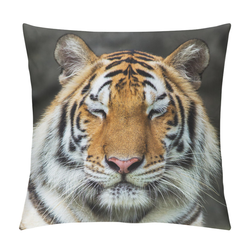 Personality  Tiger, Pillow Covers