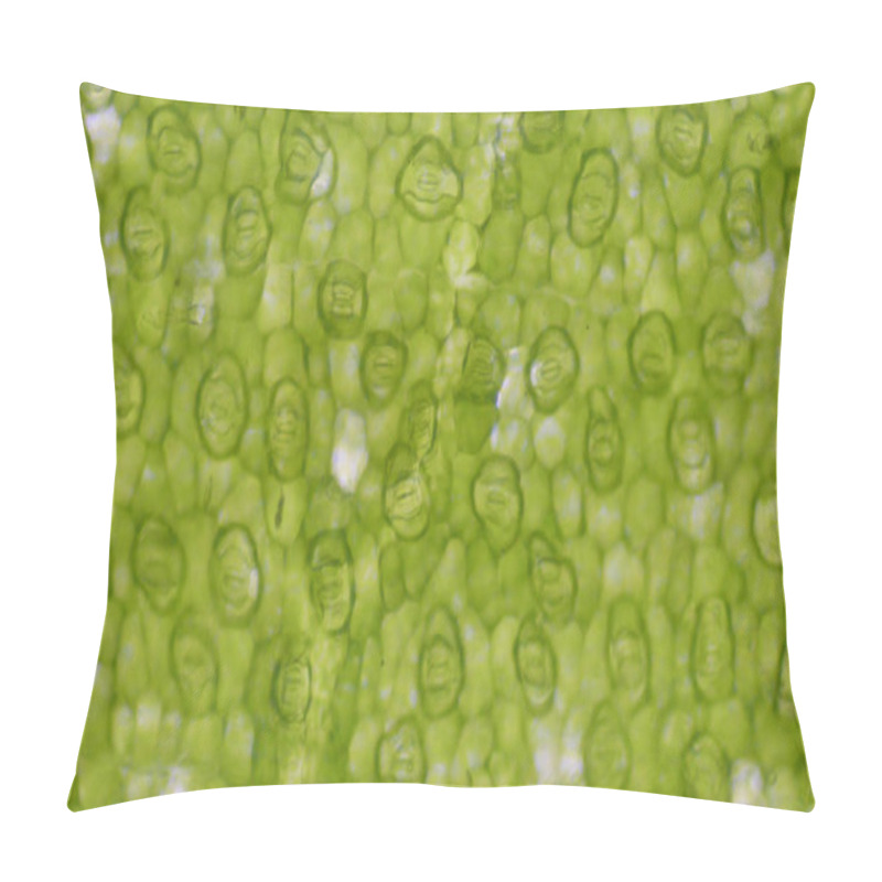 Personality  Green Leaf Stoma Cells Science Background. Pillow Covers