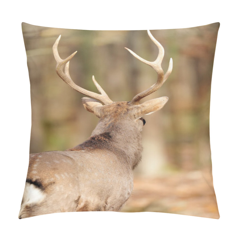 Personality  Deer In Autumn Forest Pillow Covers