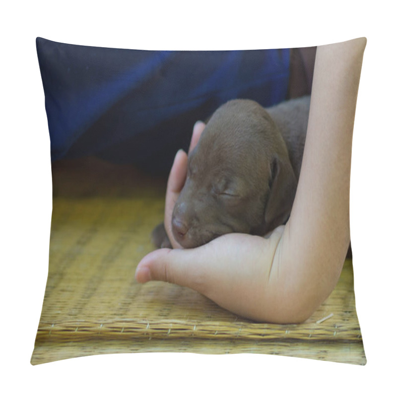 Personality  Puppy, Cute Baby Dog, Sleeping Pillow Covers