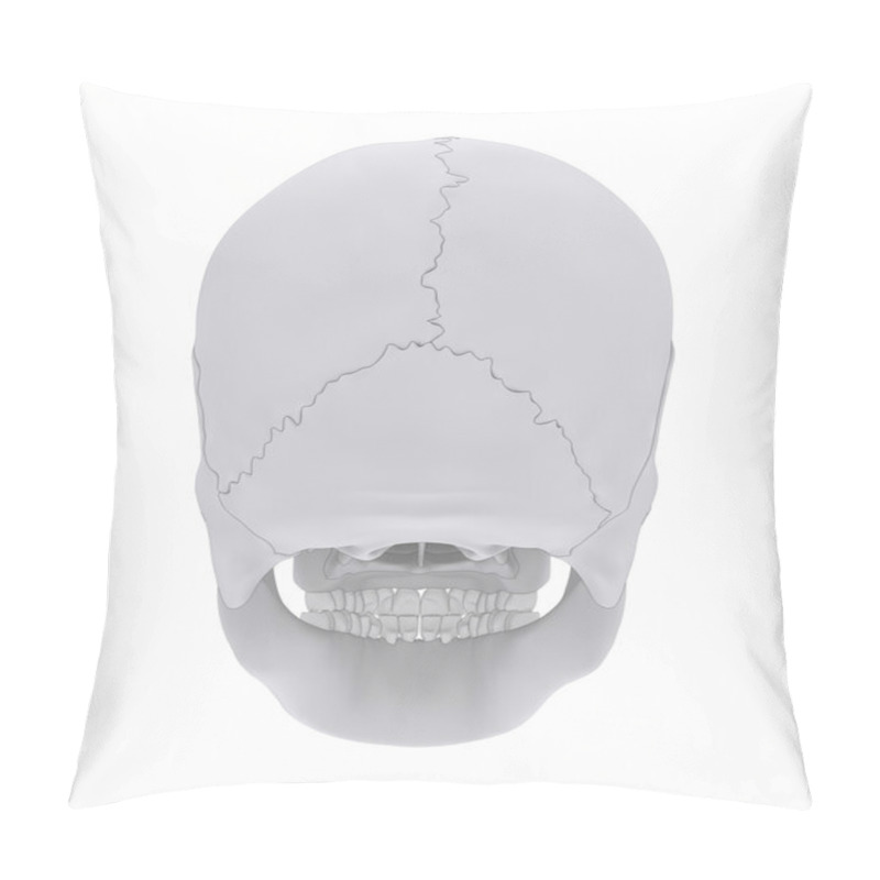 Personality  Human Skull Bones Anatomy Pillow Covers