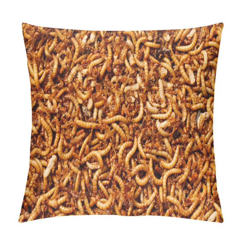 Personality  Mealworms Pillow Covers