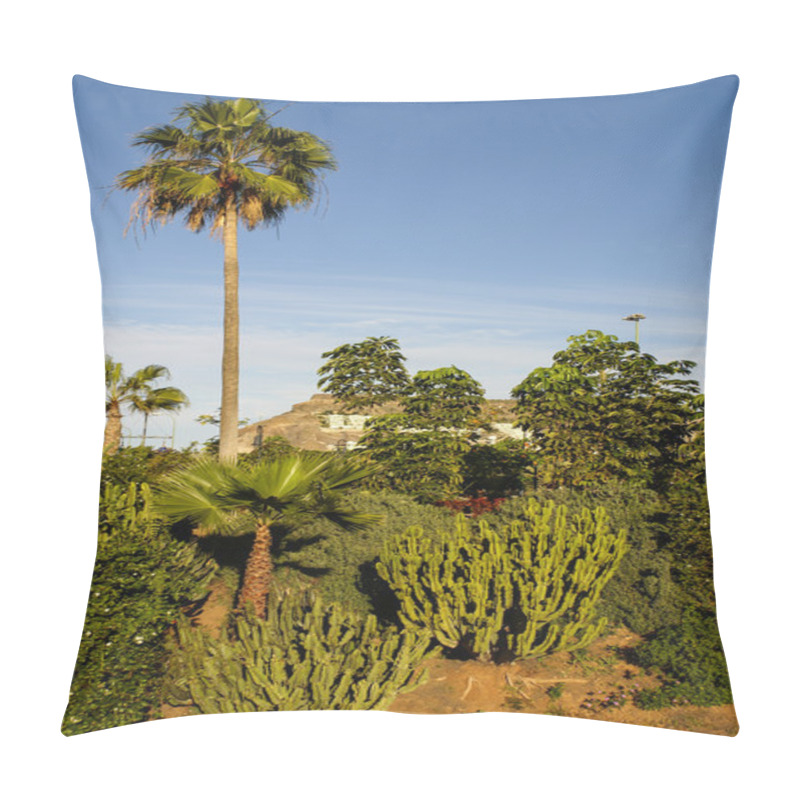 Personality  Gran Canaria Island, Spain Pillow Covers