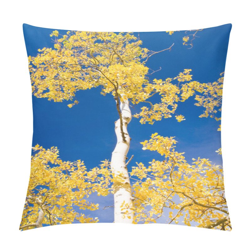 Personality  Autumn Aspen And Blue Sky Pillow Covers