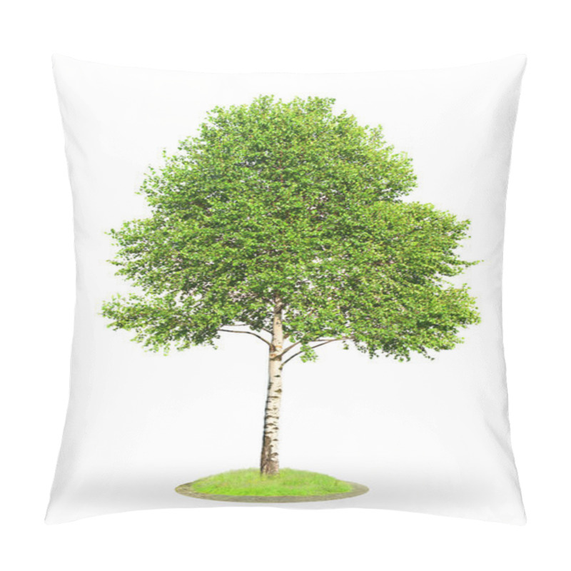 Personality  Birch Tree Isolated On White Pillow Covers