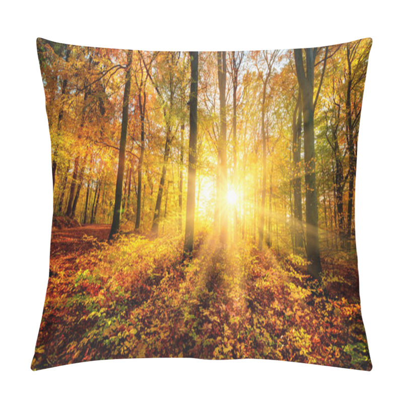 Personality  The Autumn Sun Doing Its Magic In A Forest Pillow Covers