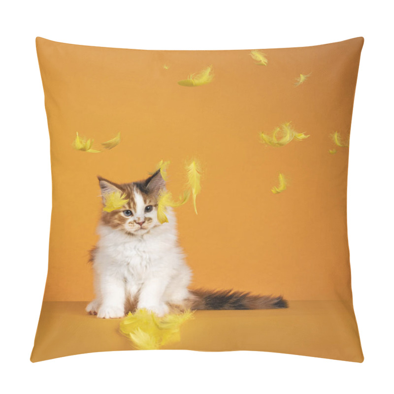 Personality  Gorgeous Maine Coon Cat Kitten, Sitting Facing Front. Looking At Falling Yellow Feathers. Isolated On Orange Background. Pillow Covers