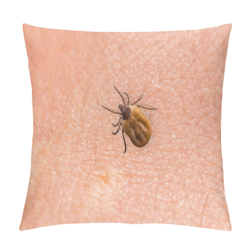 Personality  Tick Filled With Blood Crawling On Human Body Skin Pillow Covers