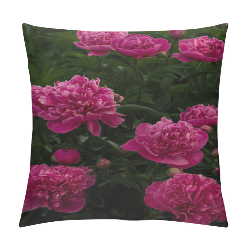 Personality  A Cluster Of Pink Peonies In Full Bloom, Displaying Their Lush Petals And Vibrant Beauty. A Captivating Representation Of Elegance And Natural Charm. Pillow Covers