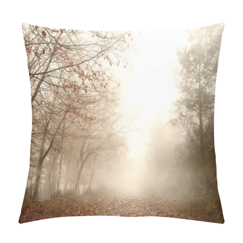 Personality  Foggy Forest Landscape Pillow Covers