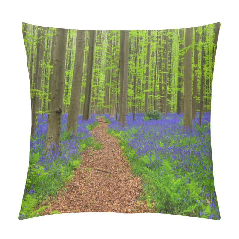 Personality  Famous Forest Hallerbos In Brussels Belgium Pillow Covers