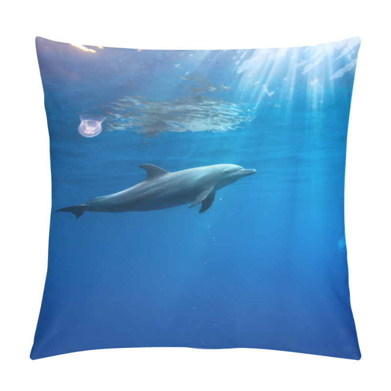 Personality  Tropical Seascape With Wild Dolphin Swimming Underwater Close The Sea Surface Between Sunrays Pillow Covers