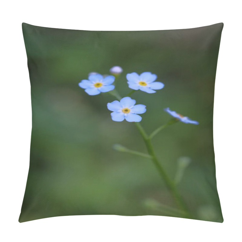 Personality  Pale Blue Flowers On A Blurred Background. Forget-me-not, Fragile Petals, Delicate Flowers. Pillow Covers