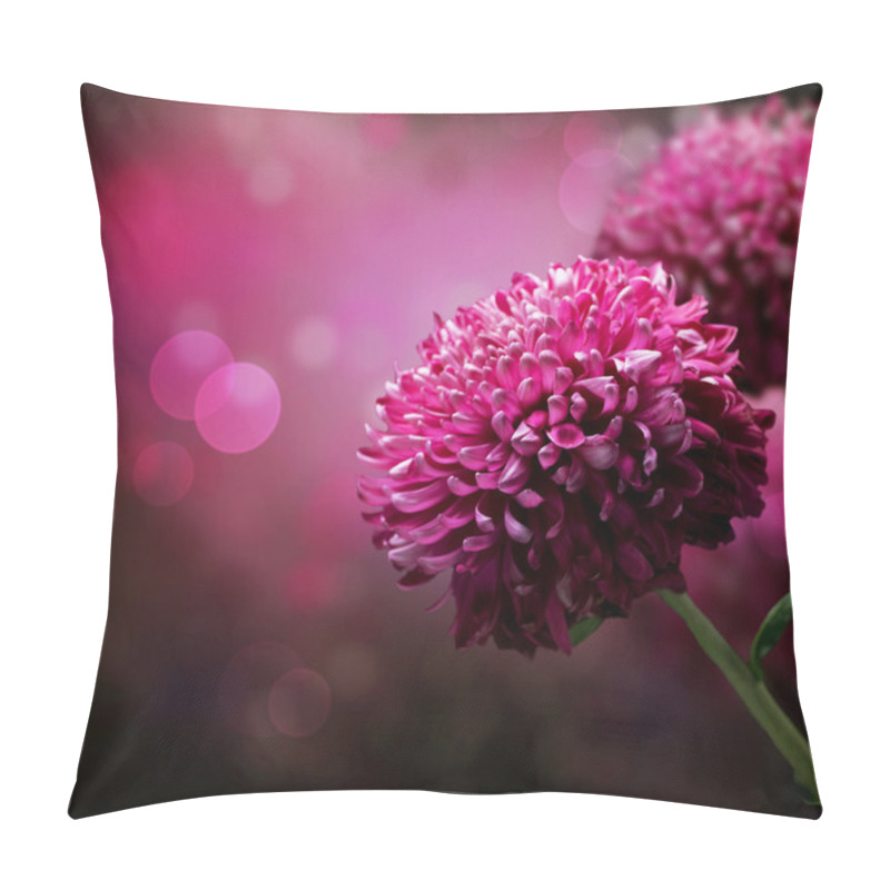 Personality  Dahlia Autumn Flower Design. With Copy-space Pillow Covers