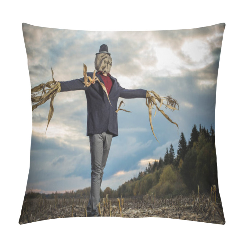 Personality  Scarecrow Stands In The Autumn Field Against The Evening Sky Pillow Covers