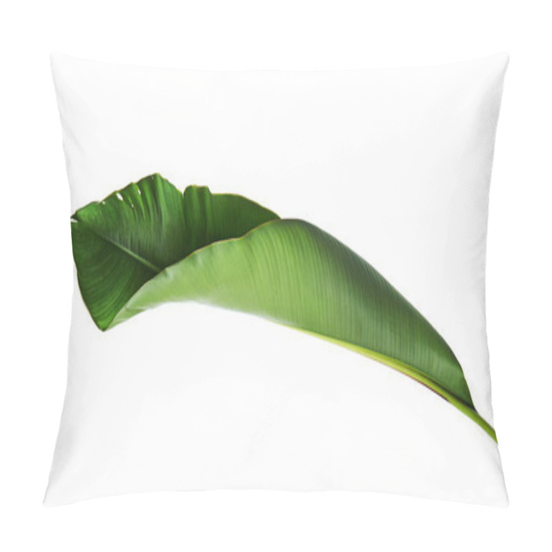 Personality  Strelitzia Reginae, Heliconia, Bird Of Paradise Foliage Isolated On White Background, With Clipping Path Pillow Covers