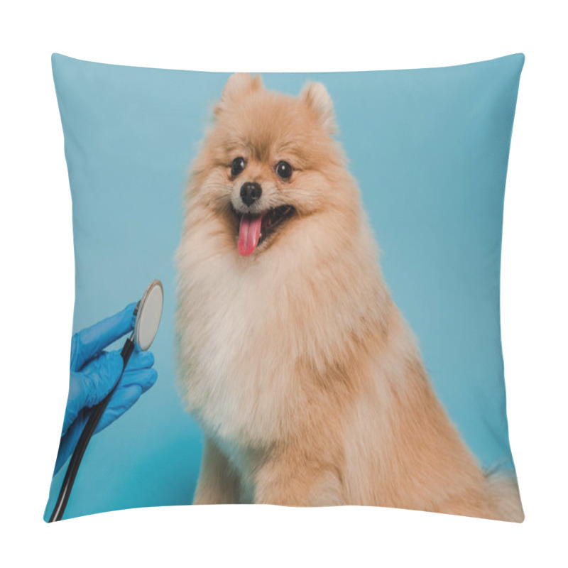 Personality  Cropped View Of Veterinarian In Latex Glove Examining Pomeranian Spitz With Stethoscope On Blue Pillow Covers