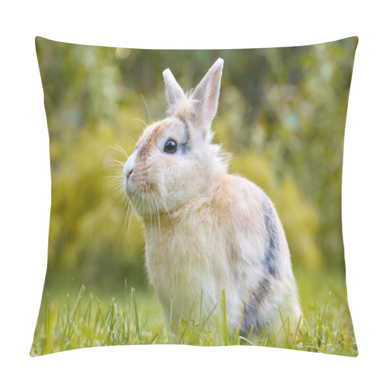 Personality  White Brown Baby Bunny Standing In The Grass And Looking At The Camera, With Nature Blurred In The Background. Easter Animal New Born Bunny Concept. Young Brown Rabbit In Green Field In Spring. Pillow Covers