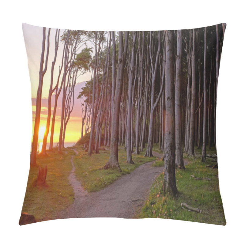 Personality  Sunrise At A Beech Forest Pillow Covers