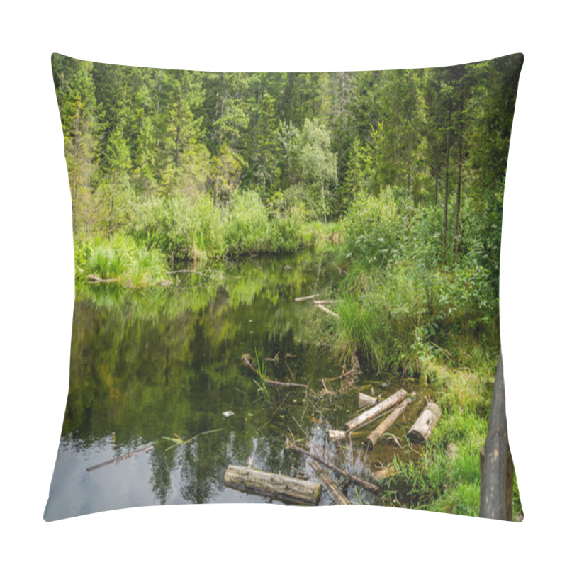 Personality  Mountain Dead Lake In The Forest In The National Park In The Skole Beskids Near Lviv Pillow Covers